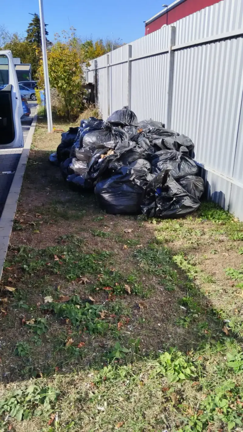 Transport Moloz Bucuresti