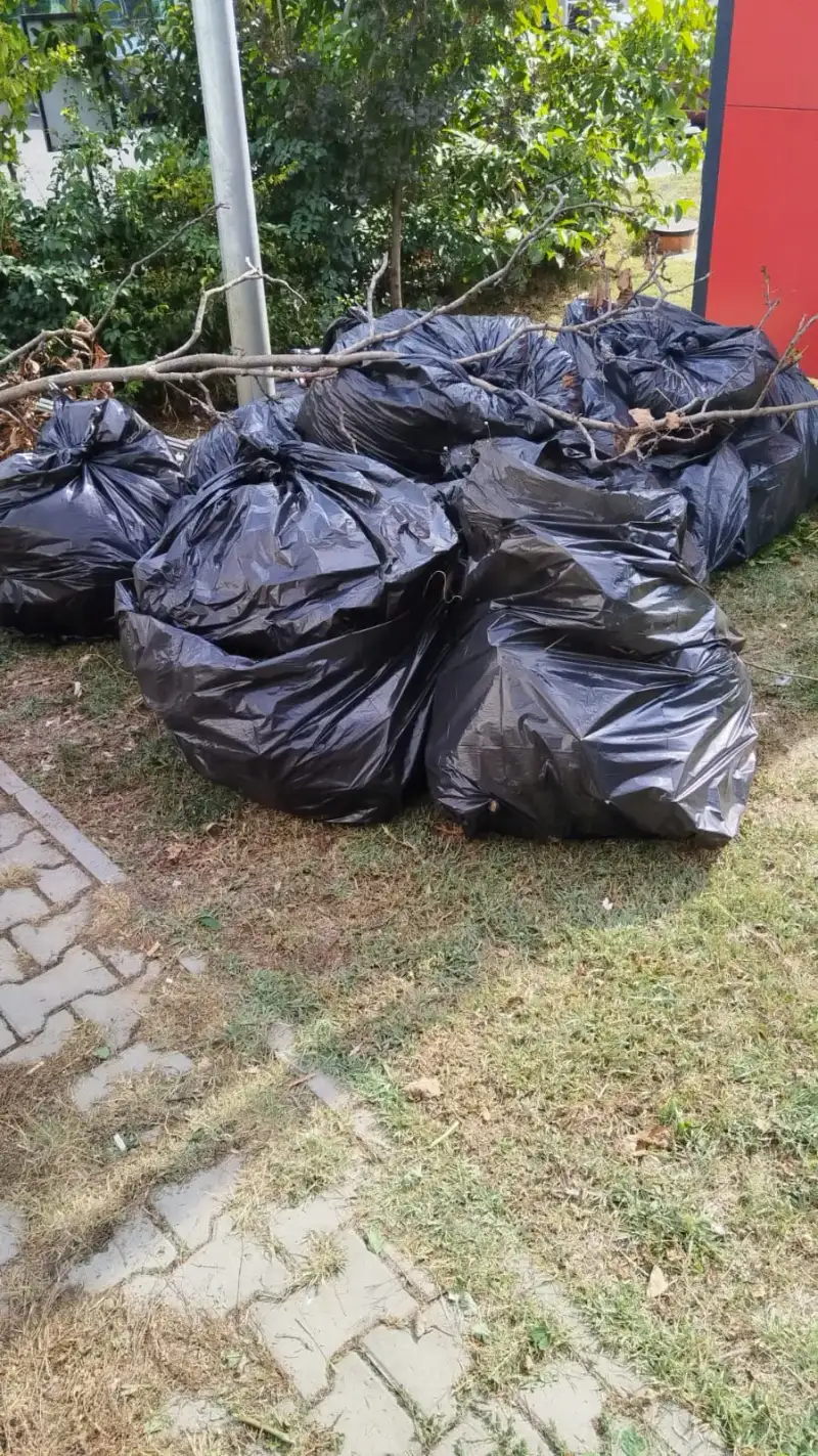 Curte și anexe pline cu mobilă veche în Voluntari Ilfov - înainte de debarasare